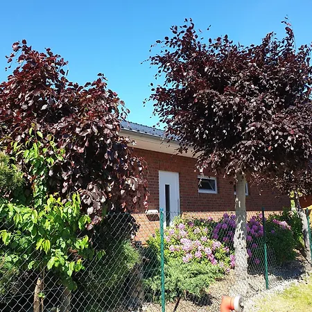 Ankerhaus Mit Sauna Und Kamin Casa vacanze Karlshagen